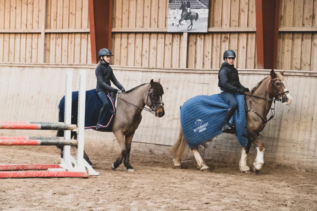 Furesø Rideklub tilbyder de bedste rammer for dig, der elsker heste I Sammenhold, gode oplevelser og venskab | Vi sætter hestens trivsel og sundhed i højsædet