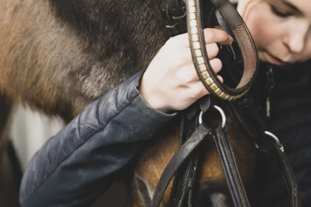 Furesø Rideklub tilbyder de bedste rammer for dig, der elsker heste I Sammenhold, gode oplevelser og venskab | Vi sætter hestens trivsel og sundhed i højsædet
