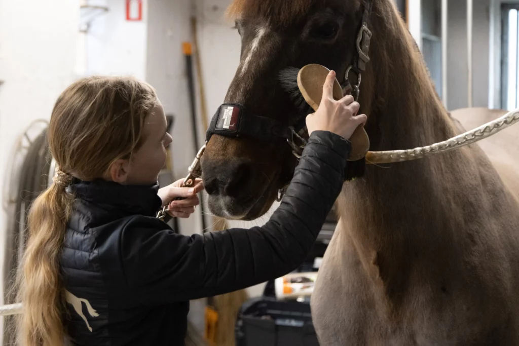 Furesø Rideklub tilbyder de bedste rammer for dig, der elsker heste I Sammenhold, gode oplevelser og venskab | Vi sætter hestens trivsel og sundhed i højsædet