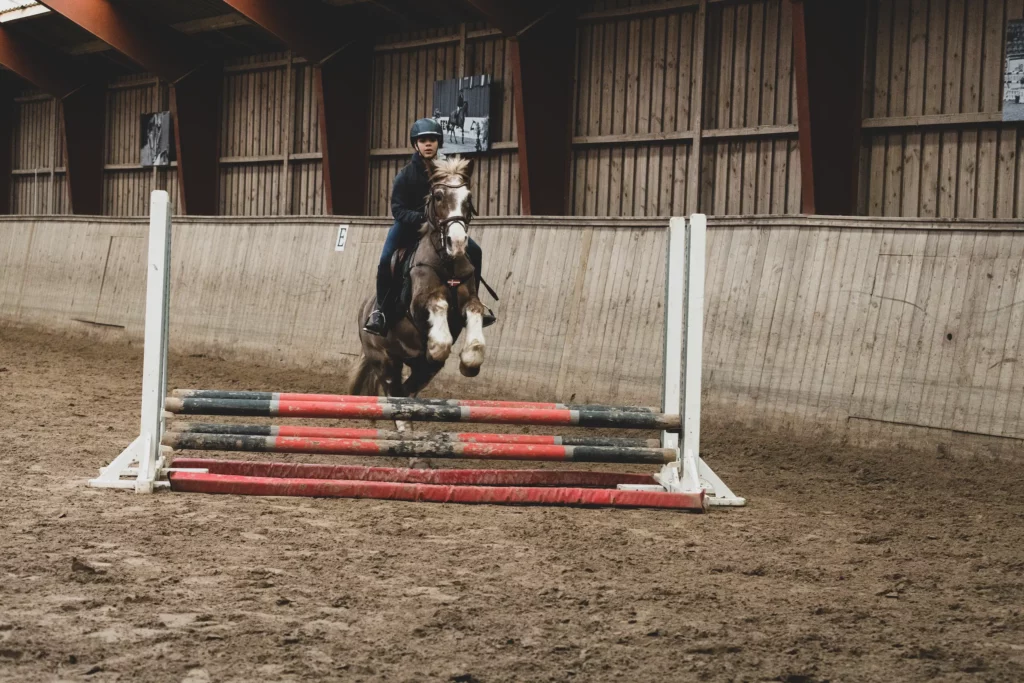 Furesø Rideklub tilbyder de bedste rammer for dig, der elsker heste I Sammenhold, gode oplevelser og venskab | Vi sætter hestens trivsel og sundhed i højsædet